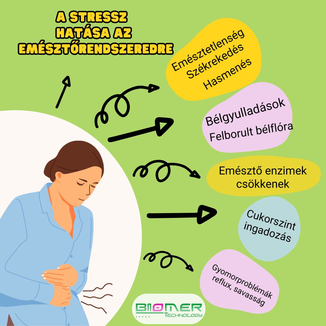 Stressz és emésztés